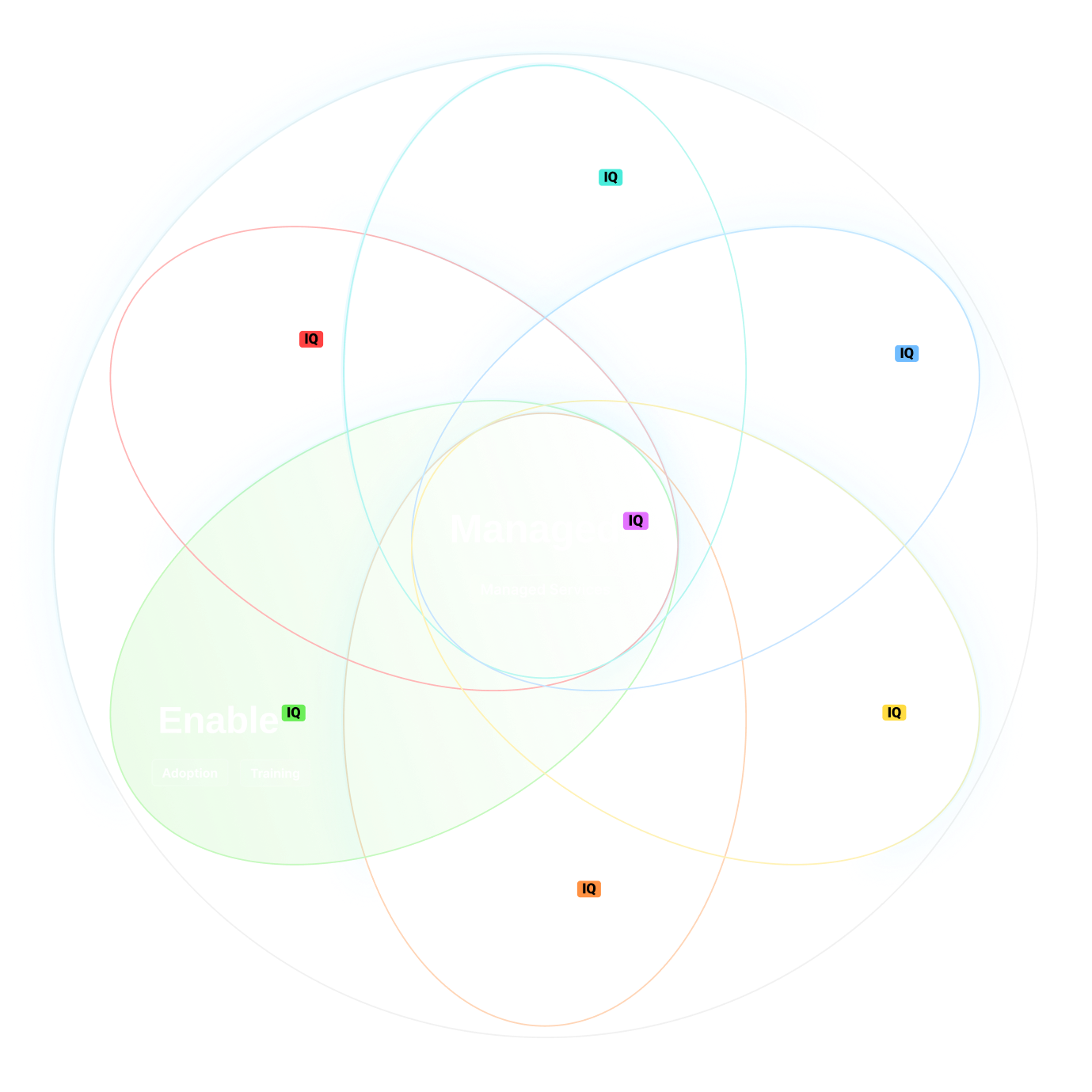 Diagram - Service IQ - Enable IQ