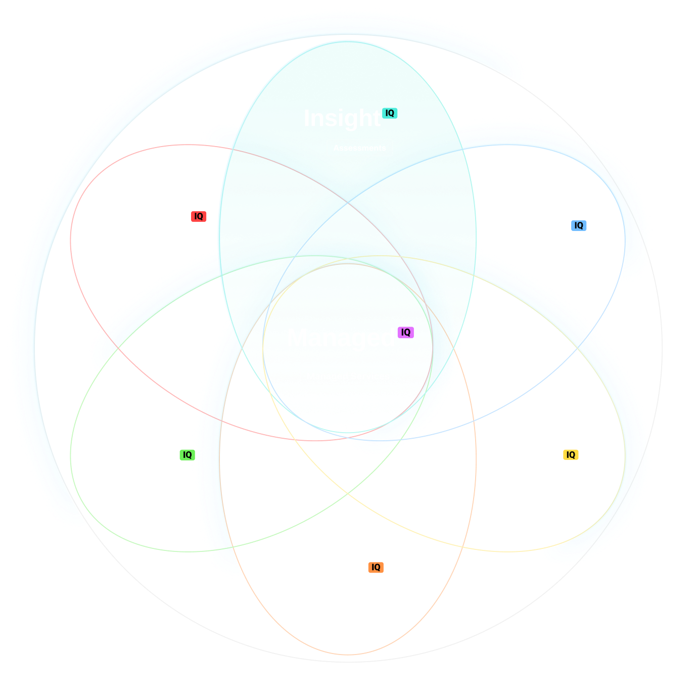 Diagram - Service IQ - Insight IQ