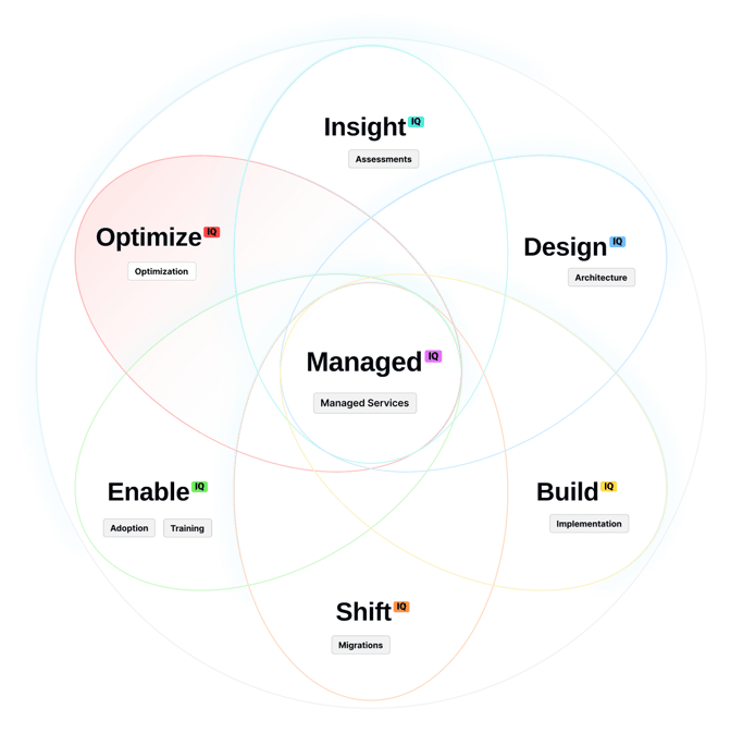 diagram-Optimize IQ