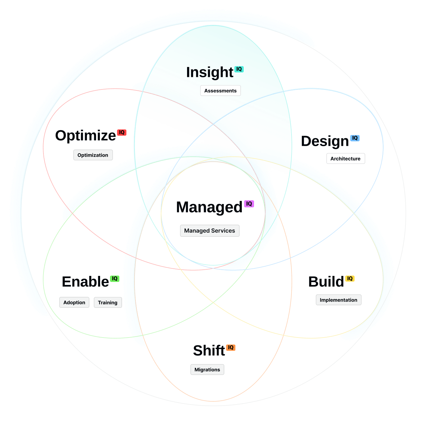 diagram-Insight IQ
